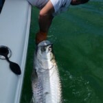 Tarpon Tamer Fishing Charters 2022