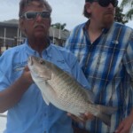 Tarpon Tamer Fishing Charters 2022