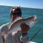 Tarpon Tamer Fishing Charters 2022