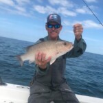 Tarpon Tamer Fishing Charters 2022