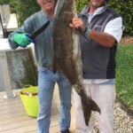 Tarpon Tamer Fishing Charters 2022