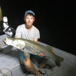 Tarpon Tamer Fishing Swf