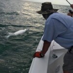 Tarpon Tamer Fishing Charters 2022