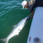 Tarpon Tamer Fishing Charters 2022