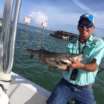 Tarpon Tamer Fishing Charters 2022