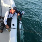 Tarpon Tamer Fishing Charters 2022