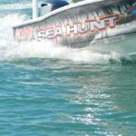 Tarpon Tamer Fishing Charters 2022