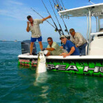 Tarpon Tamer Fishing Charters 2022